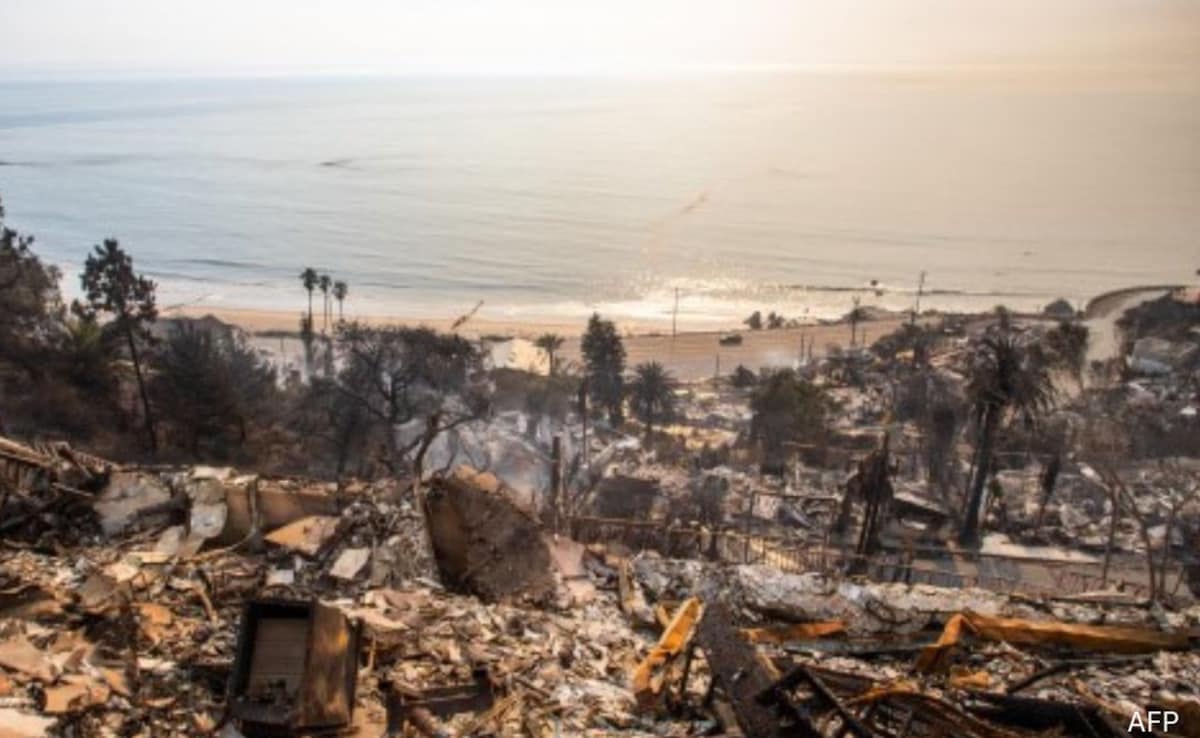 Gambling On Catastrophe: The Case Of Betting On The Los Angeles Wildfires Gambling On Catastrophe: The Case Of Betting On The Los Angeles Wildfires