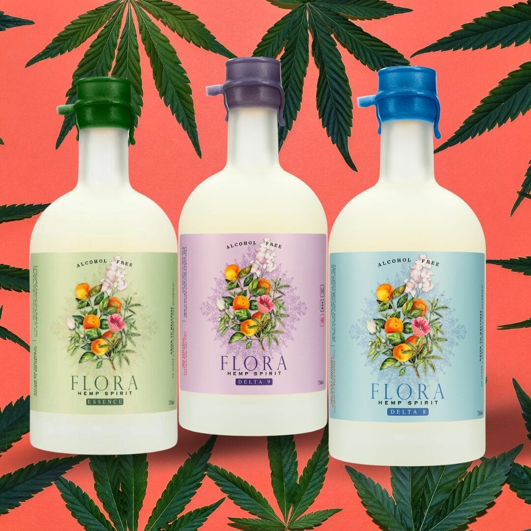 Georgia Hemp Laws Explained: Products You Can Purchase Today Georgia Hemp Laws Explained: Products You Can Purchase Today