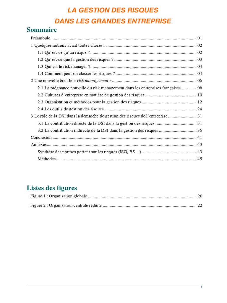 Gestion Des Risques Et Prévention Des Erreurs Gestion Des Risques Et Prévention Des Erreurs