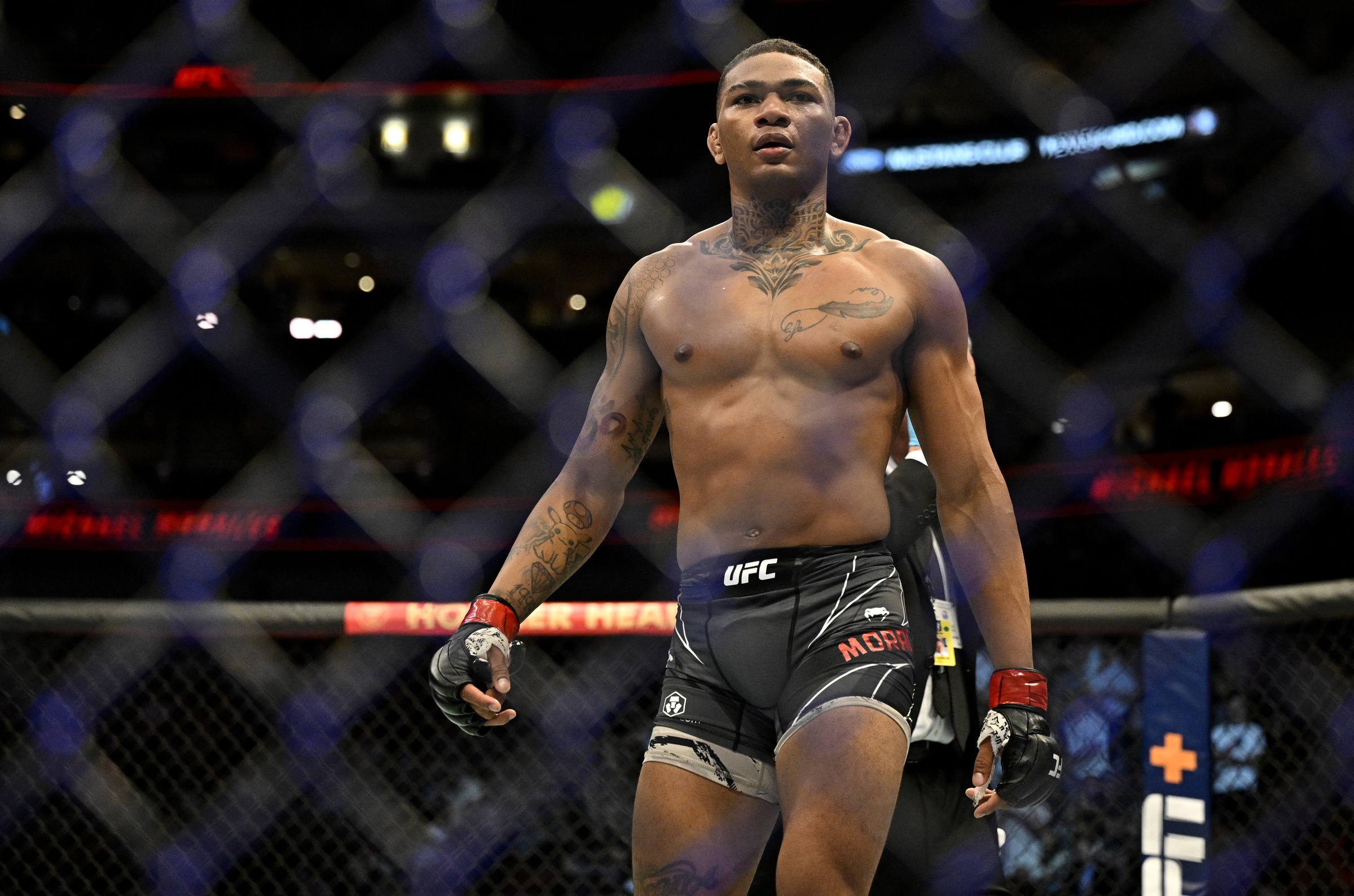 Get To Know Michael Morales: A Deep Dive Into The UFC Welterweight Prospect Get To Know Michael Morales: A Deep Dive Into The UFC Welterweight Prospect