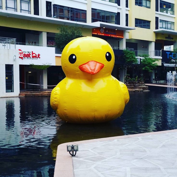 Giant Rubber Duck Brings Important Message To Myrtle Beach Giant Rubber Duck Brings Important Message To Myrtle Beach