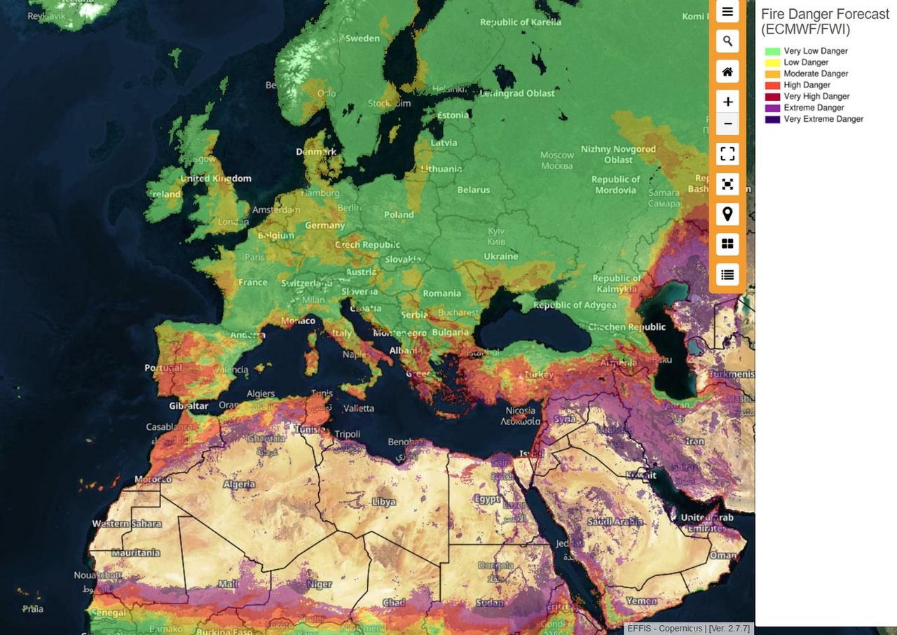 Global Forest Loss Reaches Record High: Wildfires Fuel The Destruction Global Forest Loss Reaches Record High: Wildfires Fuel The Destruction