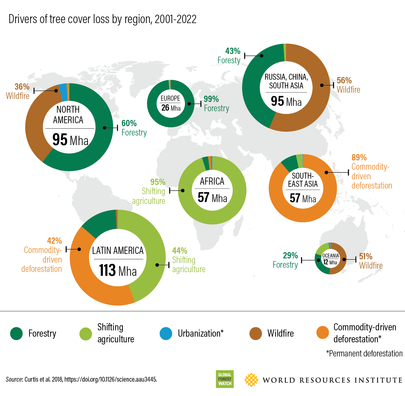 Global Forest Loss Surges To Record Levels Amidst Widespread Wildfires Global Forest Loss Surges To Record Levels Amidst Widespread Wildfires