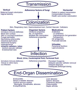 Global Warming: Increased Risk Of Invasive Fungal Infections Global Warming: Increased Risk Of Invasive Fungal Infections