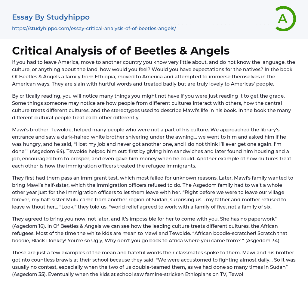 Hells Angels: A Critical Analysis Of Their Influence And Power Hells Angels: A Critical Analysis Of Their Influence And Power