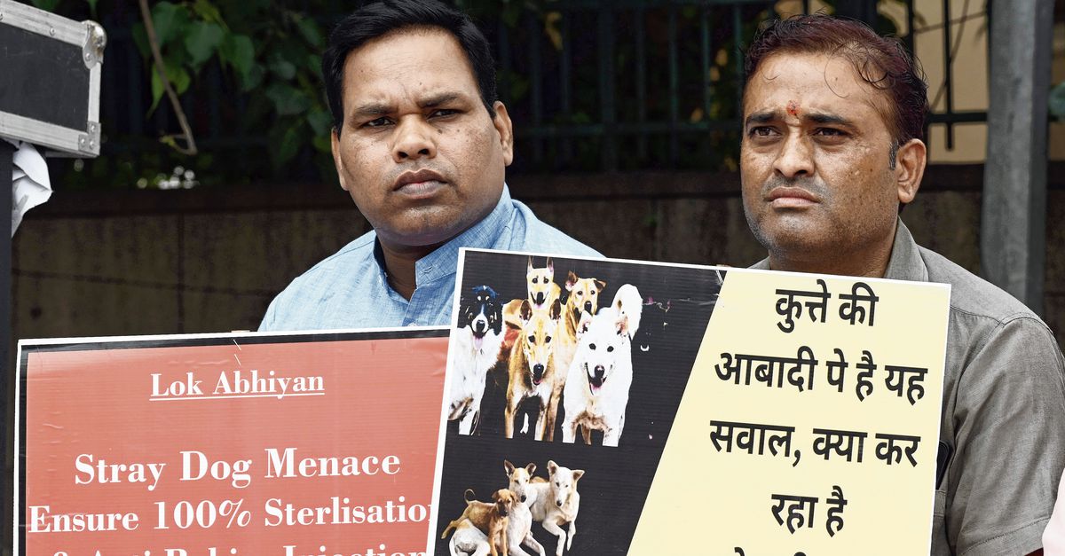 Hoe Brekelmans India Zo Veel Mogelijk Aan Zijn Zijde Houdt Hoe Brekelmans India Zo Veel Mogelijk Aan Zijn Zijde Houdt