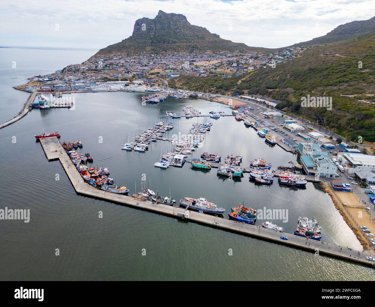 Hout Bay FC's Success: The Klopp Connection Hout Bay FC's Success: The Klopp Connection