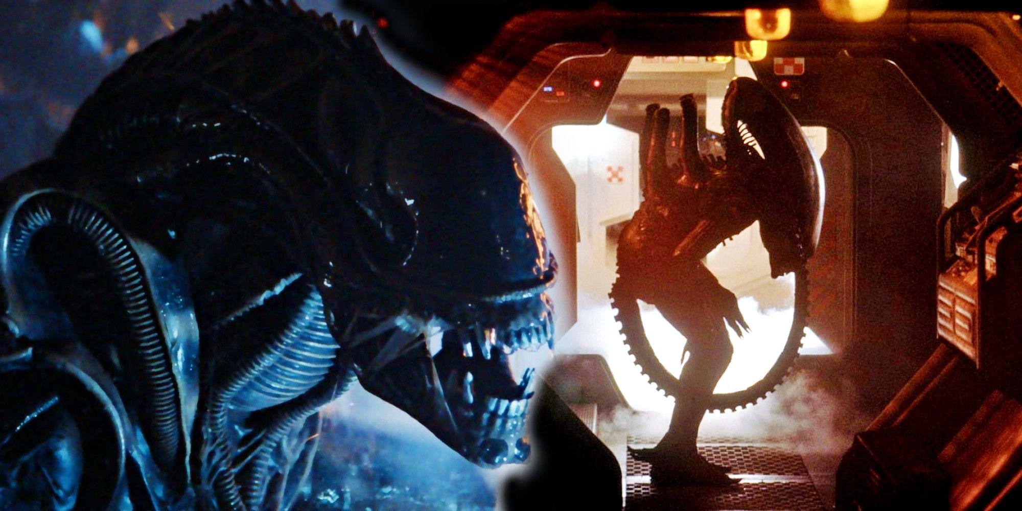 How Ridley Scott Redefined Alien: A Look At The Franchise's Evolution How Ridley Scott Redefined Alien: A Look At The Franchise's Evolution