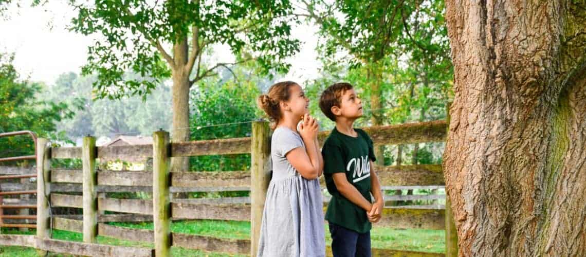 How To Survive A Screen-Free Week With Kids How To Survive A Screen-Free Week With Kids