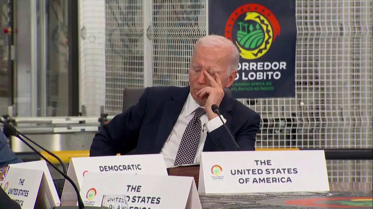 Hunter Biden Tapes: Assessing Joe Biden's Mental Fitness Hunter Biden Tapes: Assessing Joe Biden's Mental Fitness