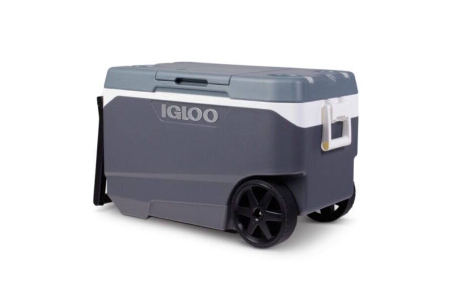 Important Recall Information: Walmart's Nationwide Recall Of Igloo Coolers Important Recall Information: Walmart's Nationwide Recall Of Igloo Coolers