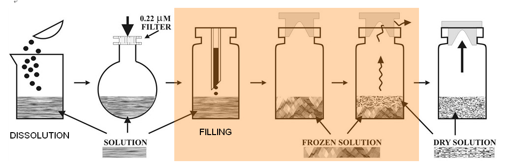 Improving The Accuracy Of Automated Visual Inspection For Lyophilized Vials Improving The Accuracy Of Automated Visual Inspection For Lyophilized Vials