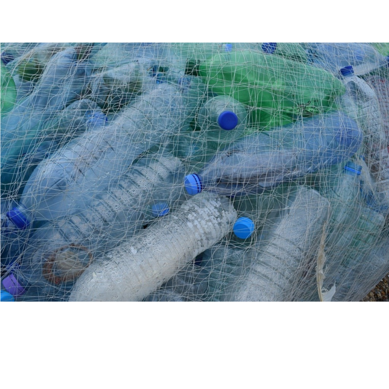 In Quale Acqua Troviamo Più Microplastiche? In Quale Acqua Troviamo Più Microplastiche?