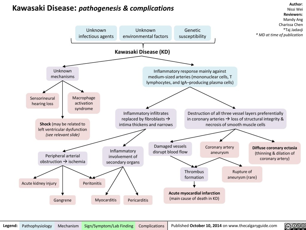 Is A Single, Unknown Respiratory Virus The Cause Of Kawasaki Disease? New Data Suggests A Link Is A Single, Unknown Respiratory Virus The Cause Of Kawasaki Disease? New Data Suggests A Link