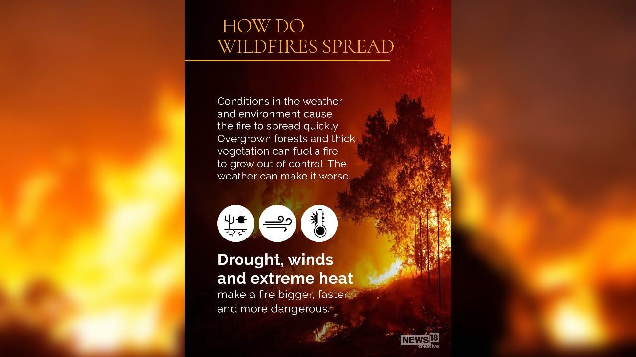 Is Betting On Wildfires Like The LA Fires A Sign Of Our Times? Is Betting On Wildfires Like The LA Fires A Sign Of Our Times?