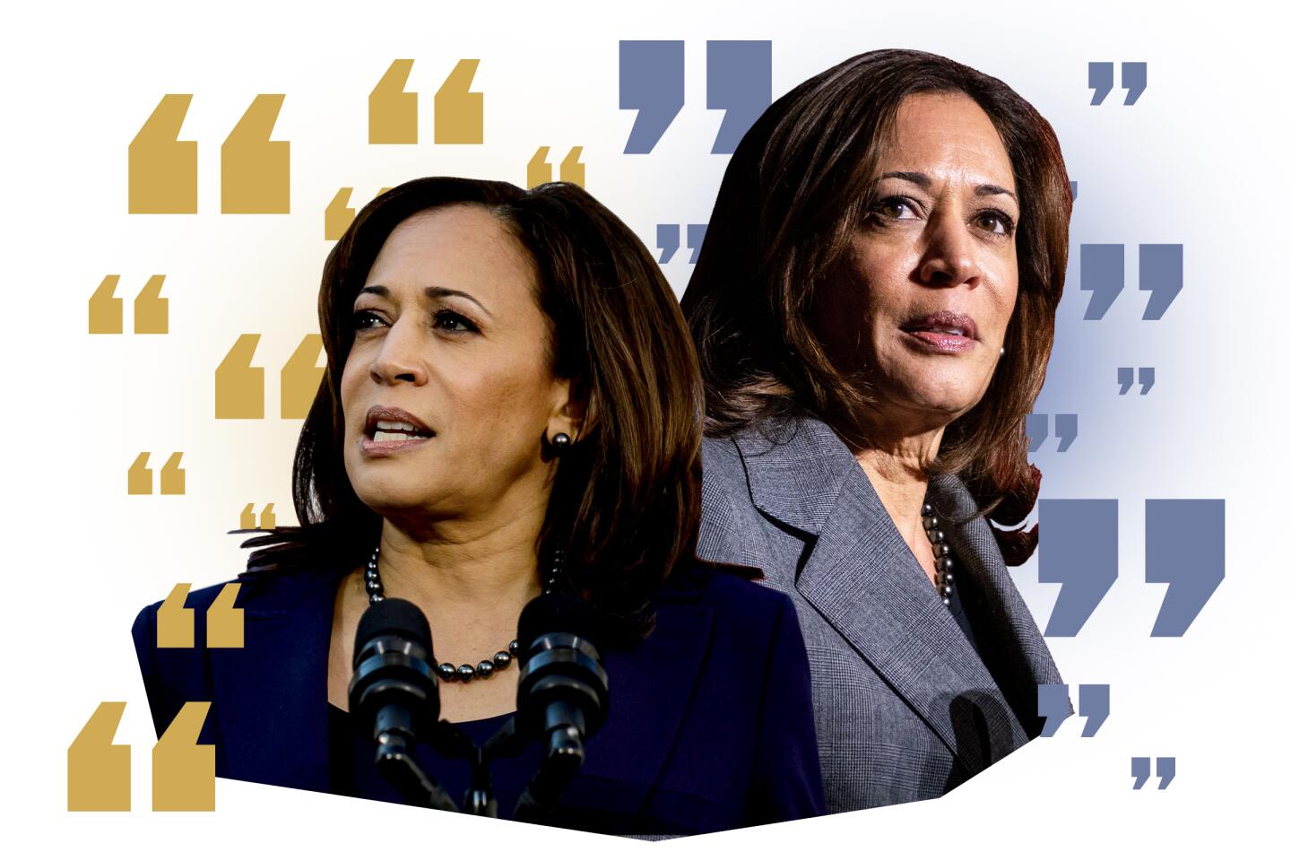 Is Kamala Harris Returning To Politics? A Look At Her Future Plans Is Kamala Harris Returning To Politics? A Look At Her Future Plans