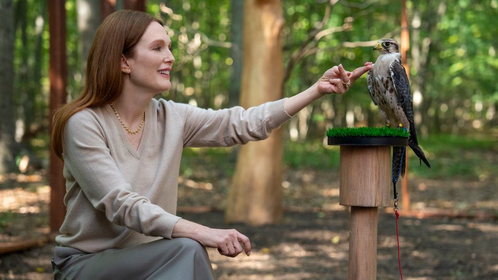Is This Netflix Dark Comedy With Kevin Bacon And Julianne Moore Going To Be Huge? Is This Netflix Dark Comedy With Kevin Bacon And Julianne Moore Going To Be Huge?