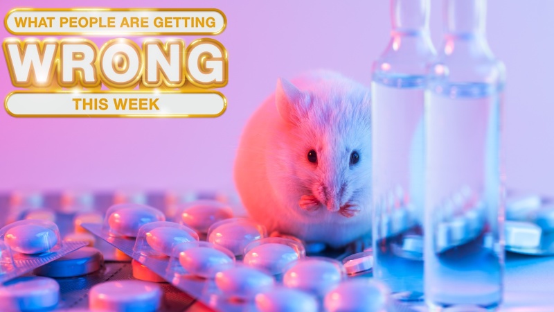 Is US Taxpayer Money Funding Transgender Mouse Research? A Critical Look Is US Taxpayer Money Funding Transgender Mouse Research? A Critical Look