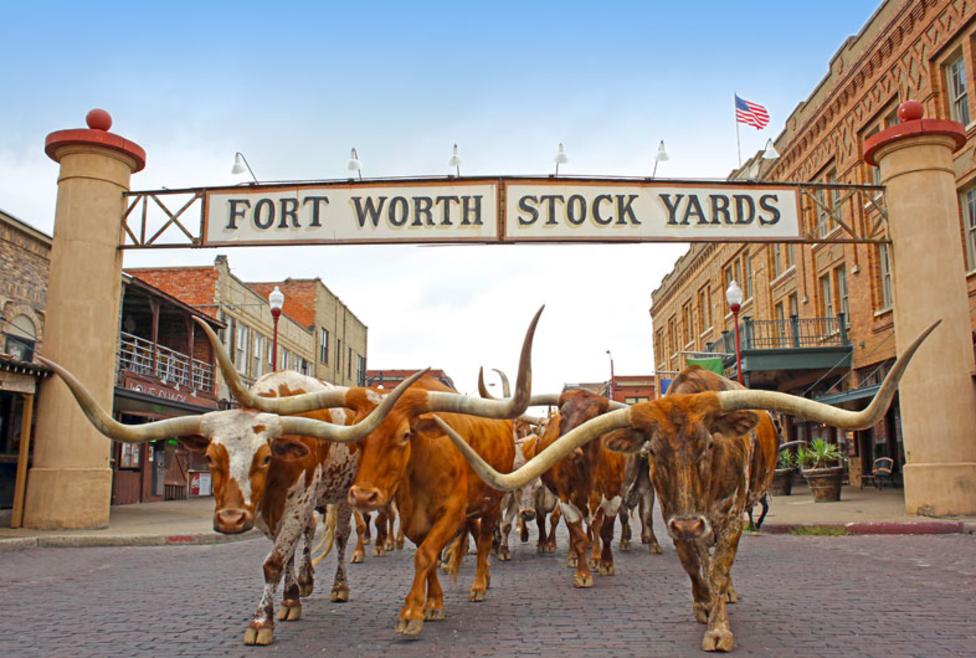 Joe Jonas' Pop-Up Show: Fort Worth Stockyards Makes History Joe Jonas' Pop-Up Show: Fort Worth Stockyards Makes History