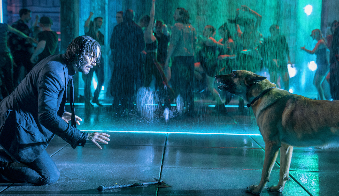 John Wick 5: Exploring The Possibility Of A Final Film John Wick 5: Exploring The Possibility Of A Final Film