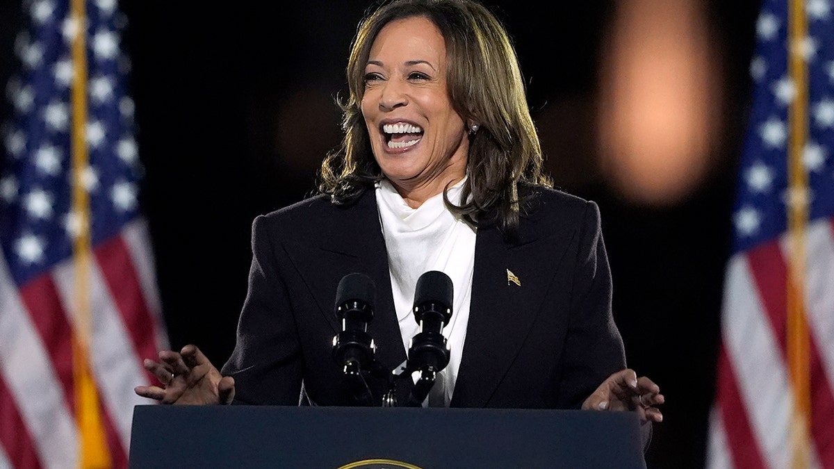 Kamala Harris' Post-Vice Presidency Political Plans Kamala Harris' Post-Vice Presidency Political Plans