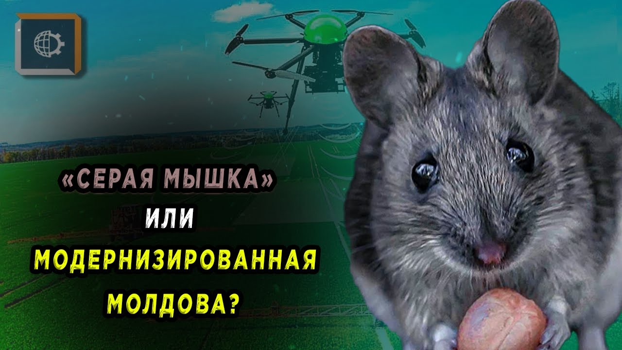 Кризис В Ватикане: Возможные Кандидаты На Пост Папы Римского. Кризис В Ватикане: Возможные Кандидаты На Пост Папы Римского.