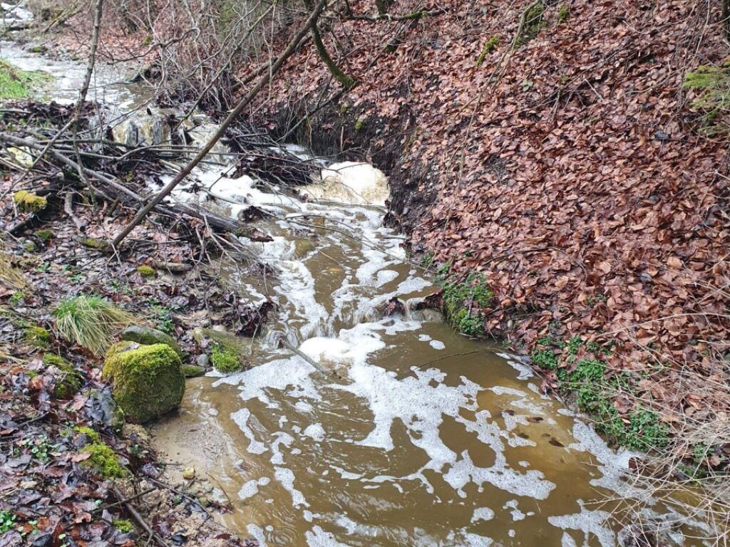 L'ingénierie Castor Testée : Résultats De Deux Cours D'eau Drômois L'ingénierie Castor Testée : Résultats De Deux Cours D'eau Drômois