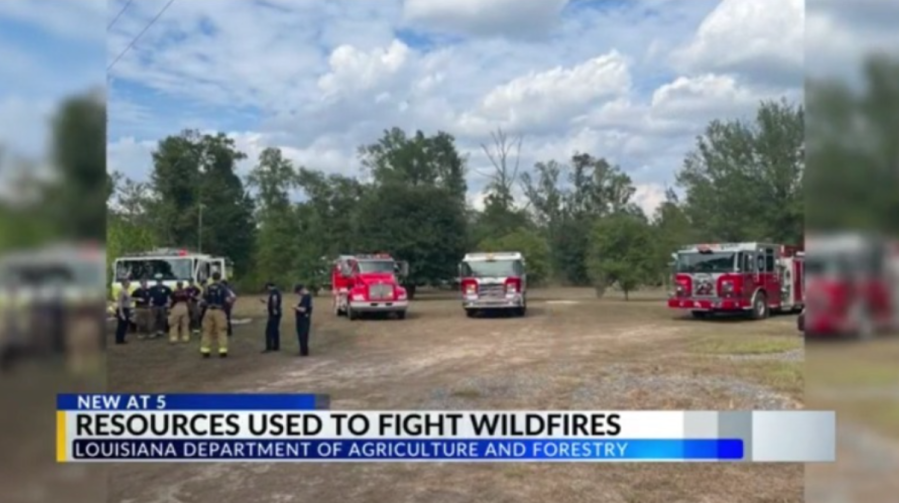 LA Wildfires And The Disturbing Reality Of Disaster Gambling LA Wildfires And The Disturbing Reality Of Disaster Gambling