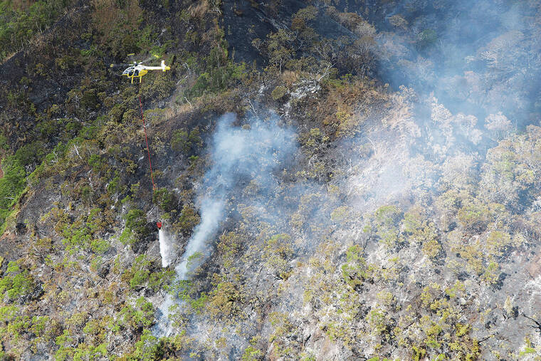 LA Wildfires And The Gambling Industry: A Troubling Trend LA Wildfires And The Gambling Industry: A Troubling Trend
