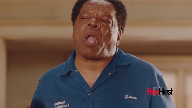 Last Friday Franchise Continues With Ice Cube's New Project