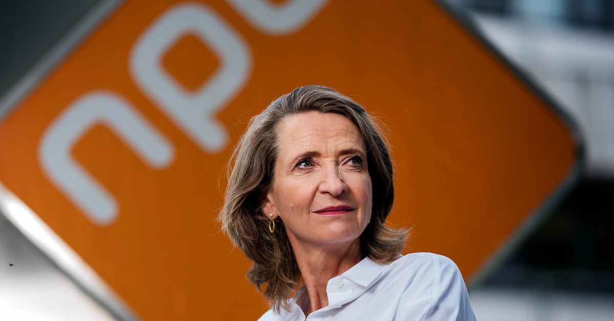 Leeflang, Hamer, En Bruins: De NPO Toezichthouder Interventie Leeflang, Hamer, En Bruins: De NPO Toezichthouder Interventie