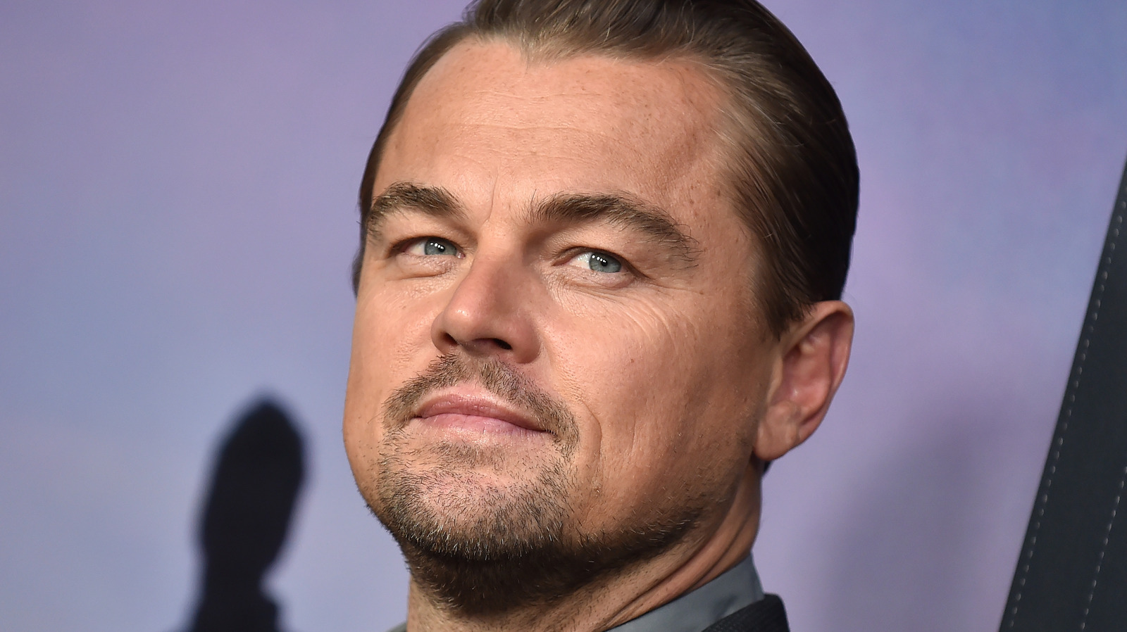 Leonardo DiCaprio Faces Intense Mockery: Where Is He Now? Leonardo DiCaprio Faces Intense Mockery: Where Is He Now?