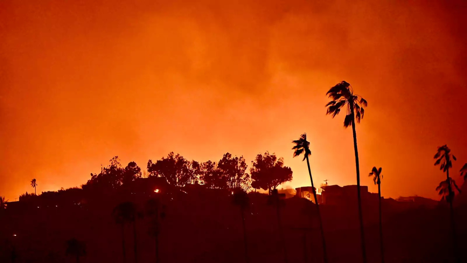 Los Angeles Wildfires: A Reflection Of Our Times Through The Lens Of Betting Markets Los Angeles Wildfires: A Reflection Of Our Times Through The Lens Of Betting Markets