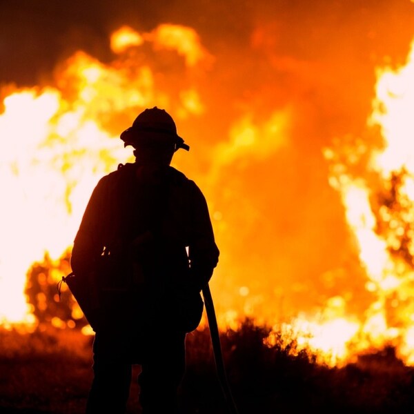 Los Angeles Wildfires: Fueling A Disturbing Betting Market? Los Angeles Wildfires: Fueling A Disturbing Betting Market?