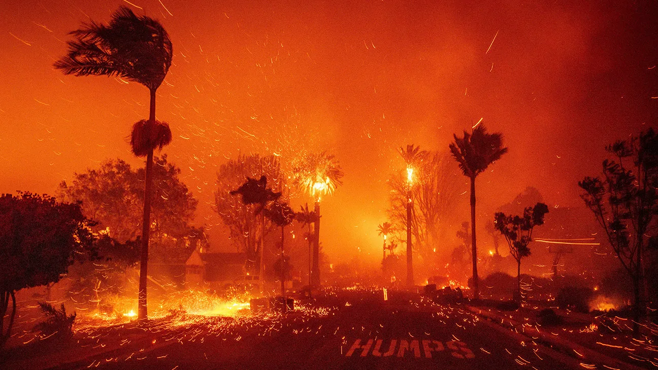 Los Angeles Wildfires: The Ironic Rise Of Disaster Betting Markets Los Angeles Wildfires: The Ironic Rise Of Disaster Betting Markets