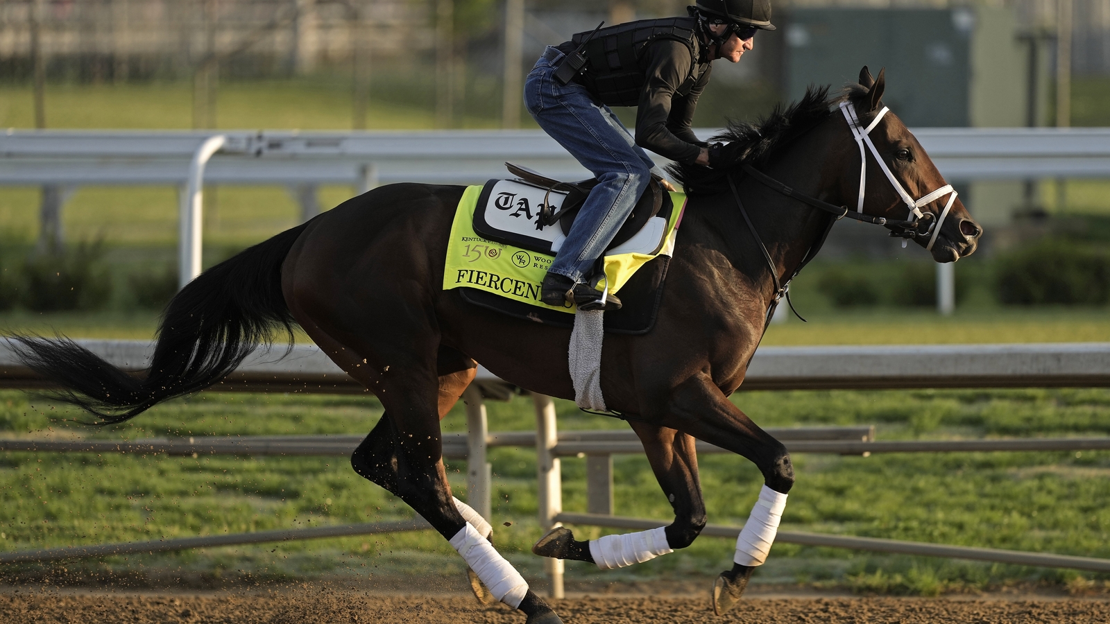 Louisiana Derby 2025: A Guide To Odds, Contenders, And Kentucky Derby Prospects Louisiana Derby 2025: A Guide To Odds, Contenders, And Kentucky Derby Prospects