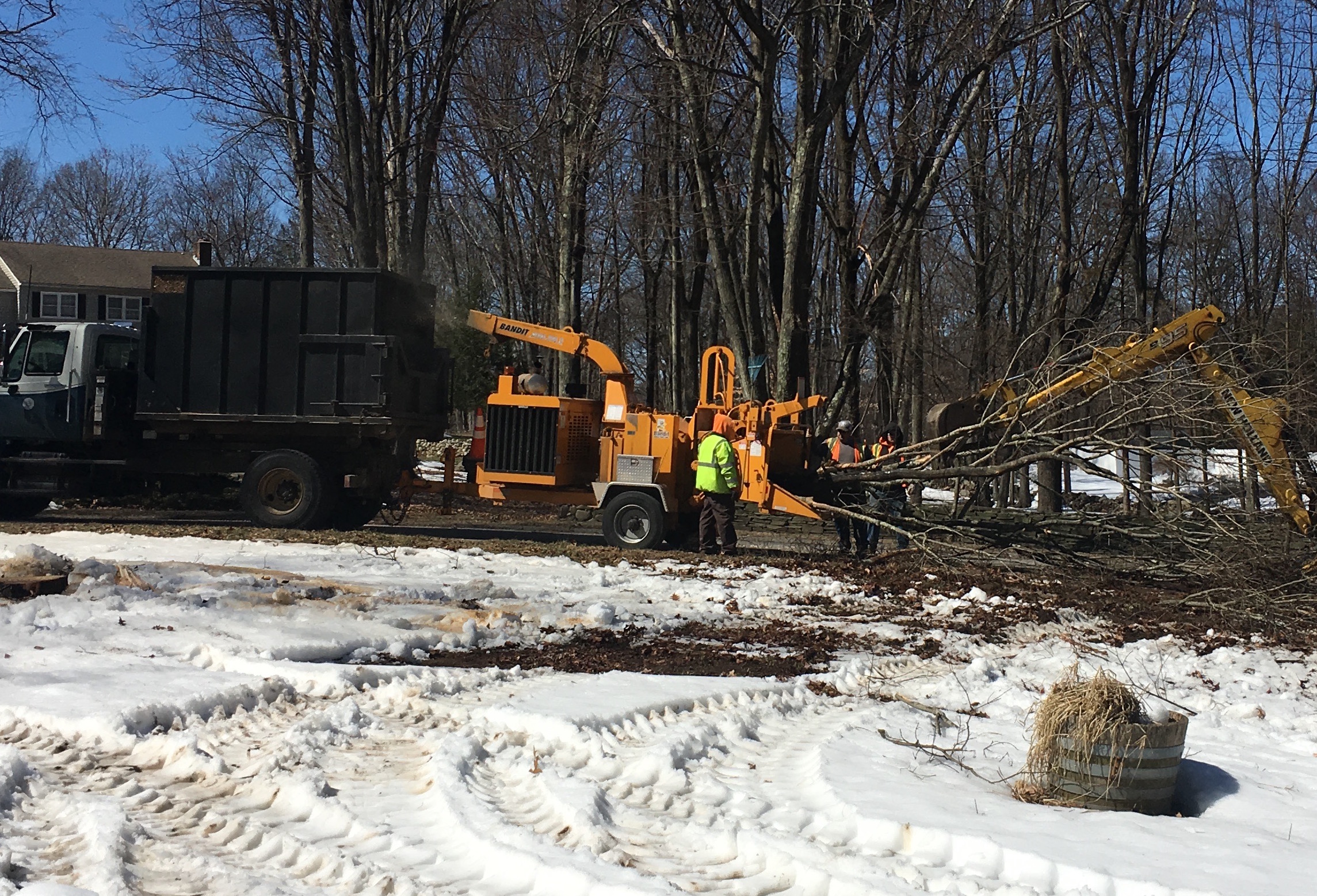 Louisville Opens Storm Debris Pickup Requests: A Guide For Residents