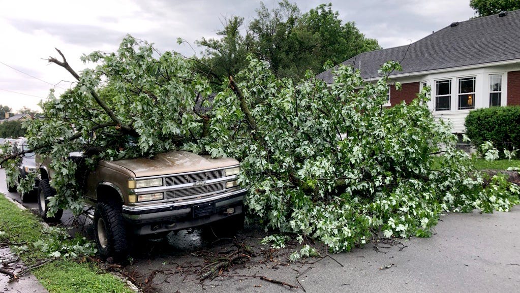 Louisville Storm Debris Pickup: Requesting Your Assistance Louisville Storm Debris Pickup: Requesting Your Assistance
