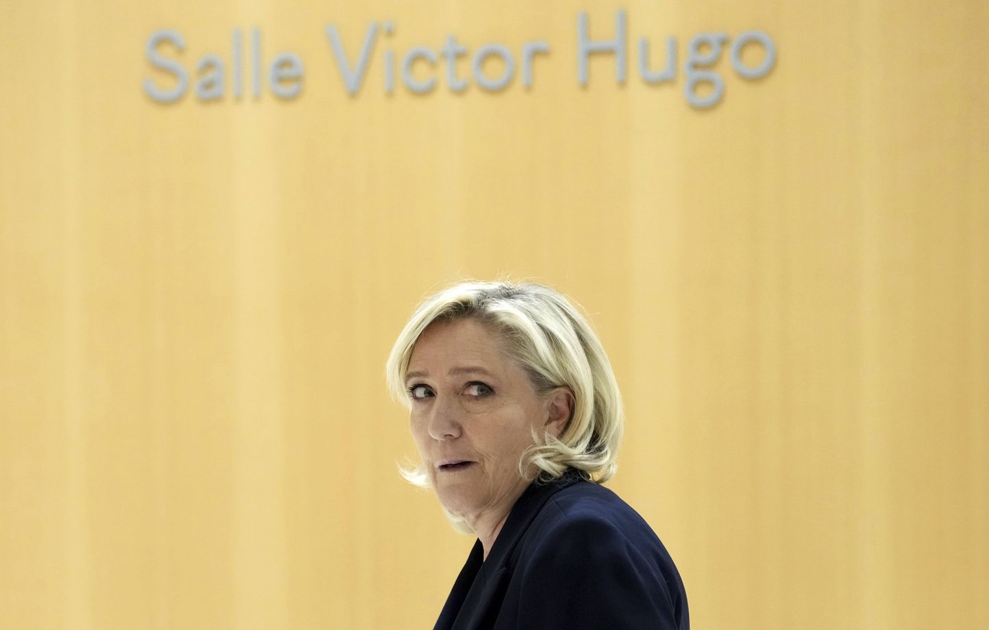 Marine Le Pen: Appel De Sa Condamnation À Quatre Ans De Prison Et Inéligibilité