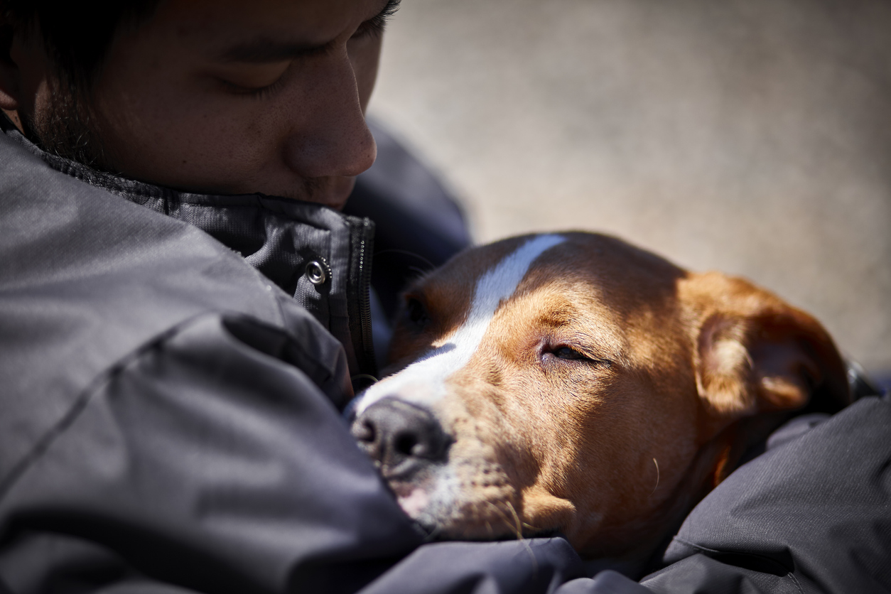 Mental Health & Dogs: A Didcot Walking Event Mental Health & Dogs: A Didcot Walking Event