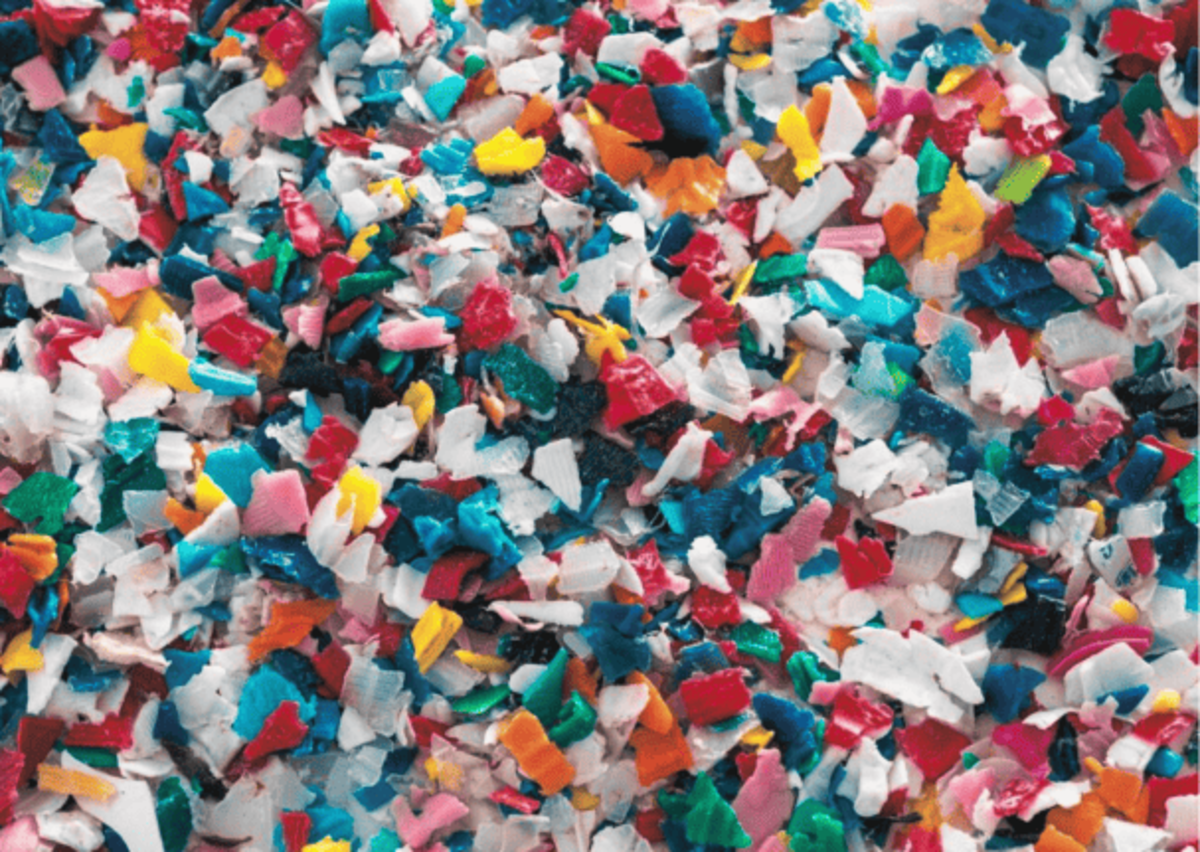 Microplastiche: In Quali Acque Sono Più Presenti? Microplastiche: In Quali Acque Sono Più Presenti?