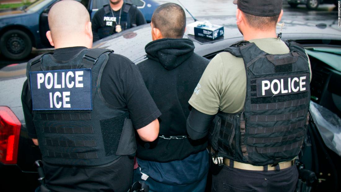 Migrant Spends Eight Hours In Tree To Evade ICE Arrest: CNN Report Migrant Spends Eight Hours In Tree To Evade ICE Arrest: CNN Report