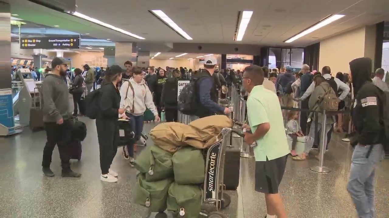 Minimizing Disruption: Navigating Flight Delays At San Diego International Airport Minimizing Disruption: Navigating Flight Delays At San Diego International Airport