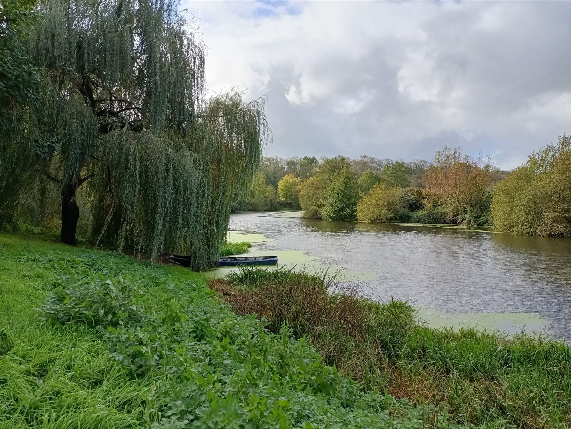 Moncoutant-sur-Sèvre Et Clisson : Une Histoire De Diversification Centenaire Moncoutant-sur-Sèvre Et Clisson : Une Histoire De Diversification Centenaire