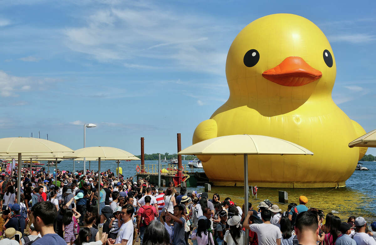 Myrtle Beach Welcomes World's Largest Rubber Duck: A Focus On Water Safety Myrtle Beach Welcomes World's Largest Rubber Duck: A Focus On Water Safety