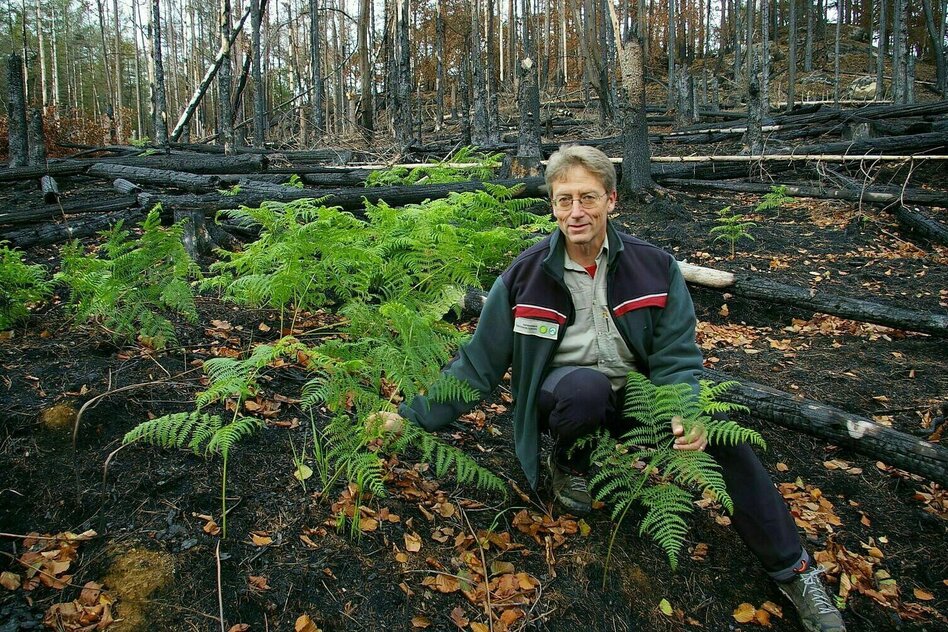 Neue Sensoren Zur Waldbrandfrüherkennung In Der Sächsischen Schweiz Neue Sensoren Zur Waldbrandfrüherkennung In Der Sächsischen Schweiz
