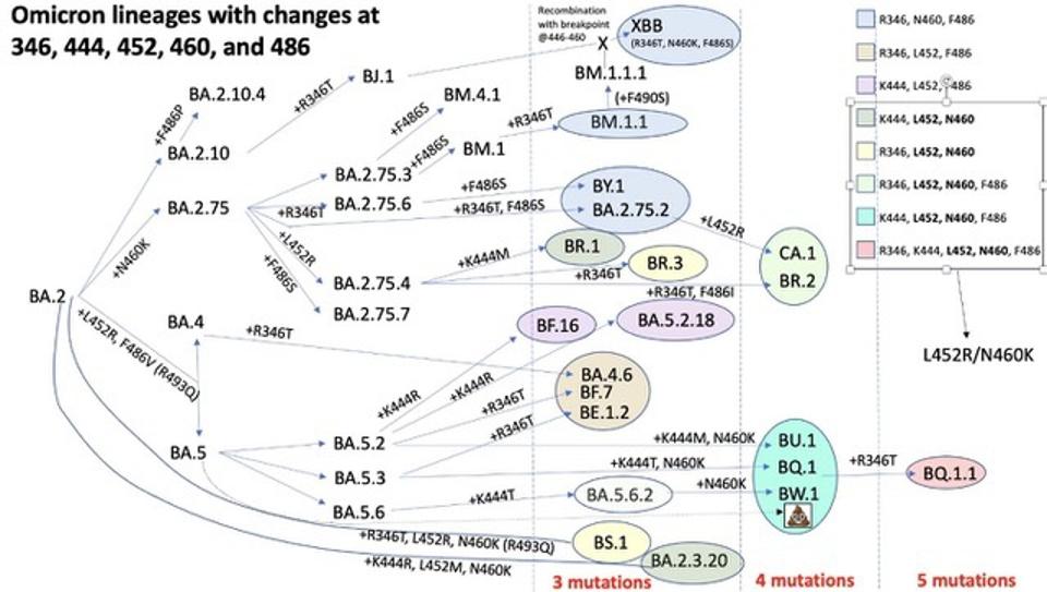 New COVID-19 Variant: Is It Behind The Rising Case Numbers? New COVID-19 Variant: Is It Behind The Rising Case Numbers?