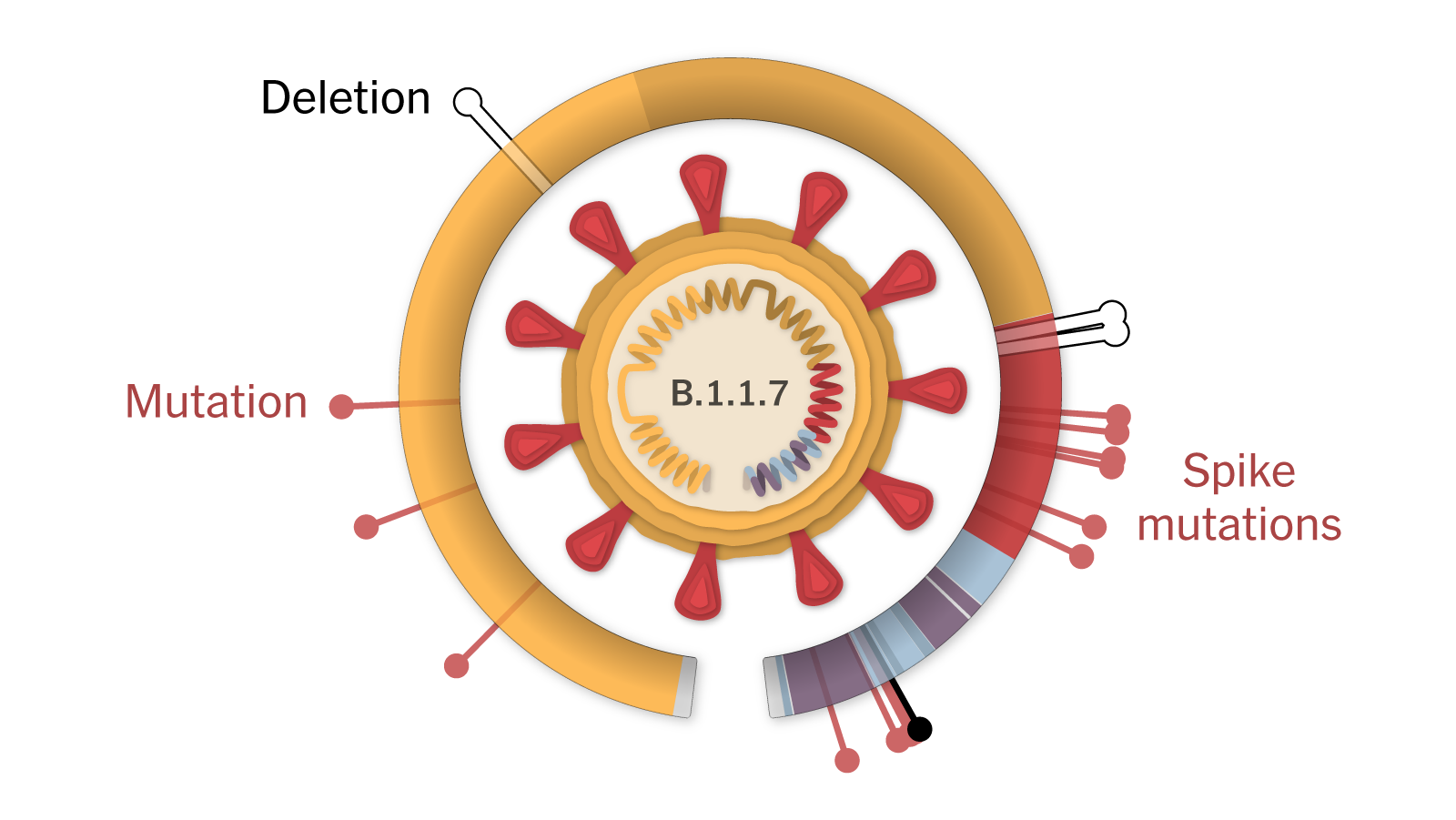 New COVID-19 Variant JN.1: What You Should Know About Symptoms And Prevention New COVID-19 Variant JN.1: What You Should Know About Symptoms And Prevention