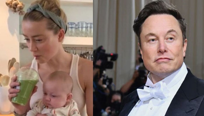 New Twins, Old Rumors: Is Elon Musk The Father Of Amber Heard's Children? New Twins, Old Rumors: Is Elon Musk The Father Of Amber Heard's Children?