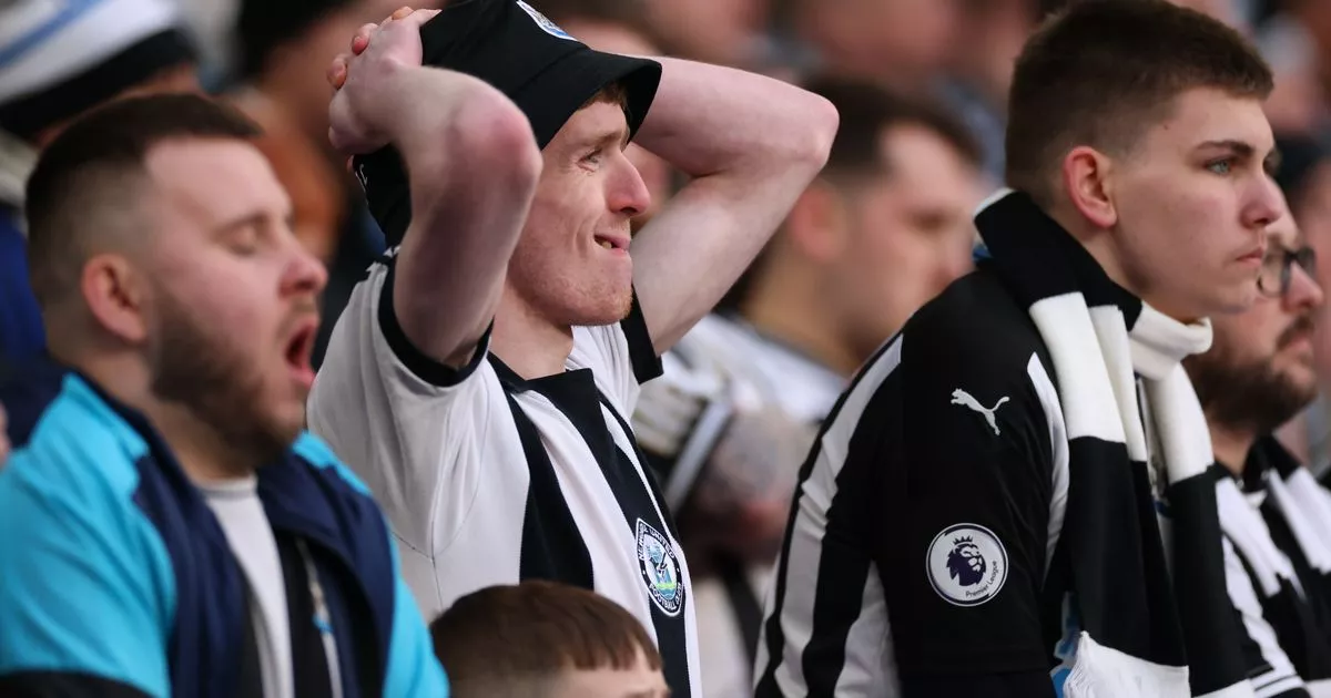 Newcastle United Supporters' Championship Play-Off Predictions Newcastle United Supporters' Championship Play-Off Predictions